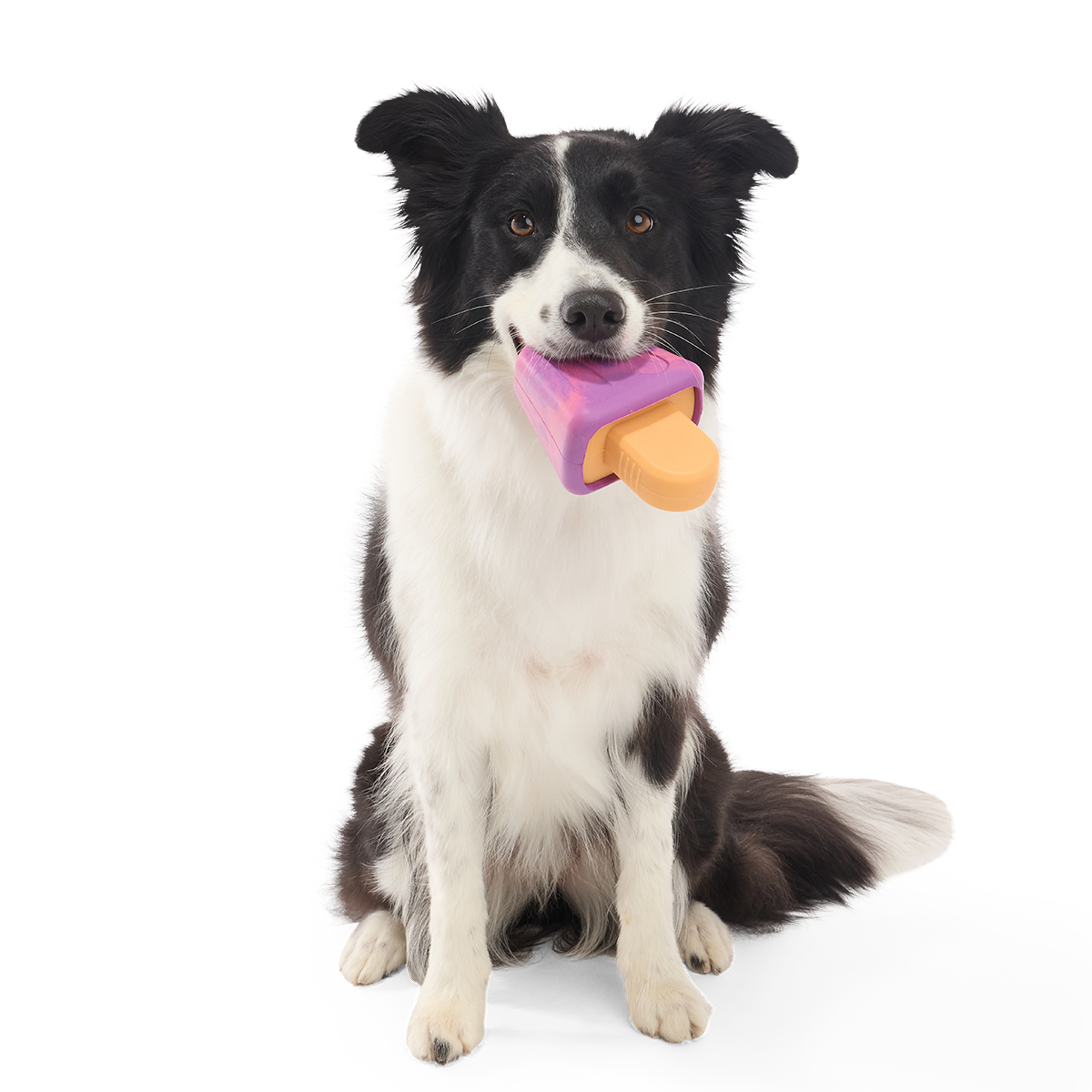 Chill N' Chomp Ice Pop Kit Super Chewer Durable Enrichment Dog Toy - Image 4