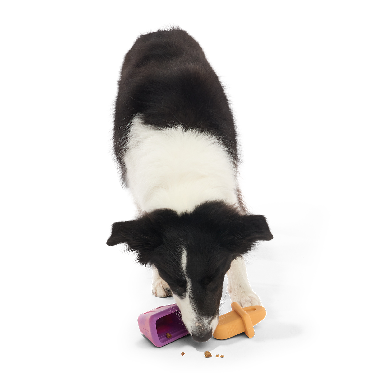 Chill N' Chomp Ice Pop Kit Super Chewer Durable Enrichment Dog Toy - Image 6