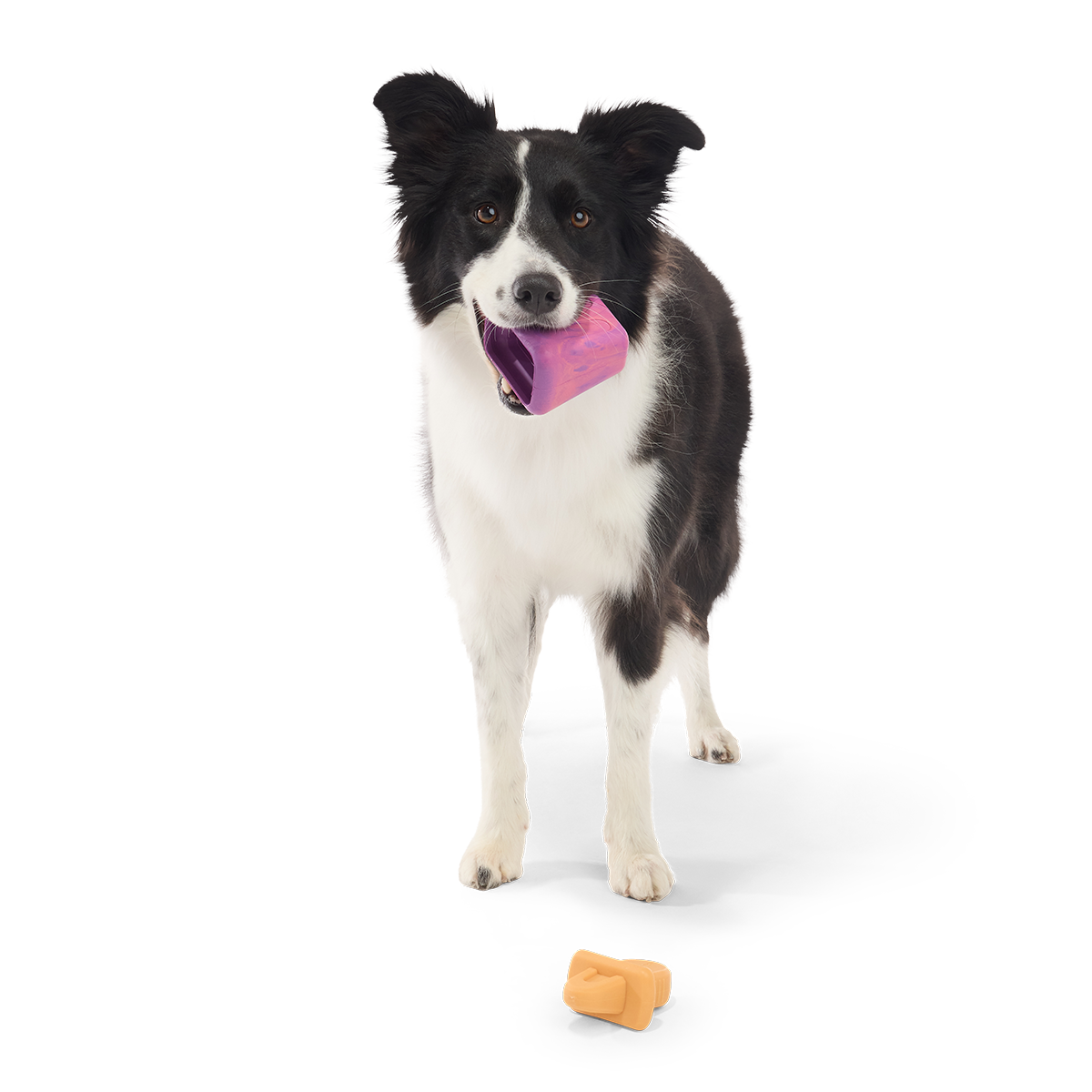 Chill N' Chomp Ice Pop Kit Super Chewer Durable Enrichment Dog Toy - Image 5