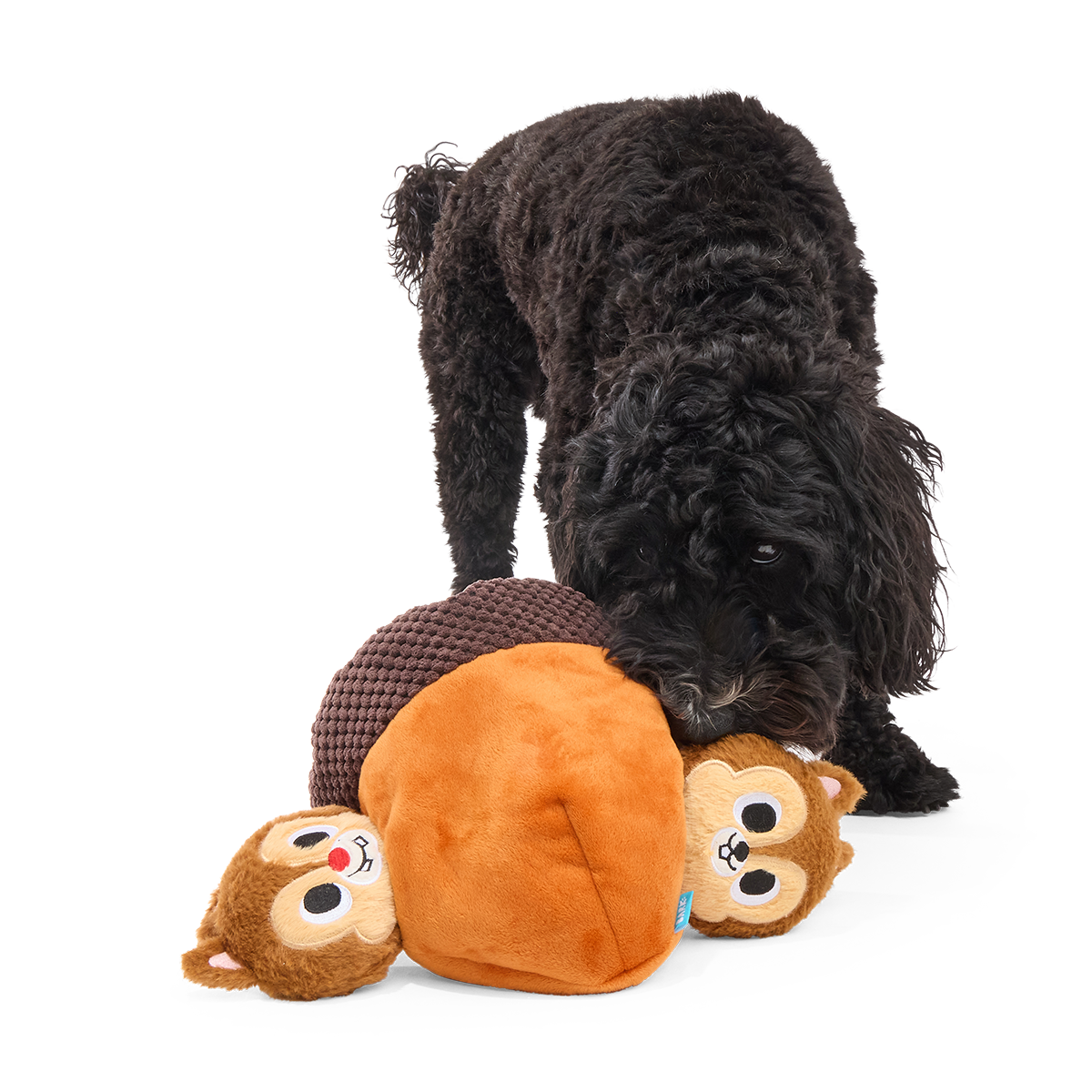 Chip 'N Dale in a Nutshell Plush Multi-Part + Enrichment Dog Toy - Image 3