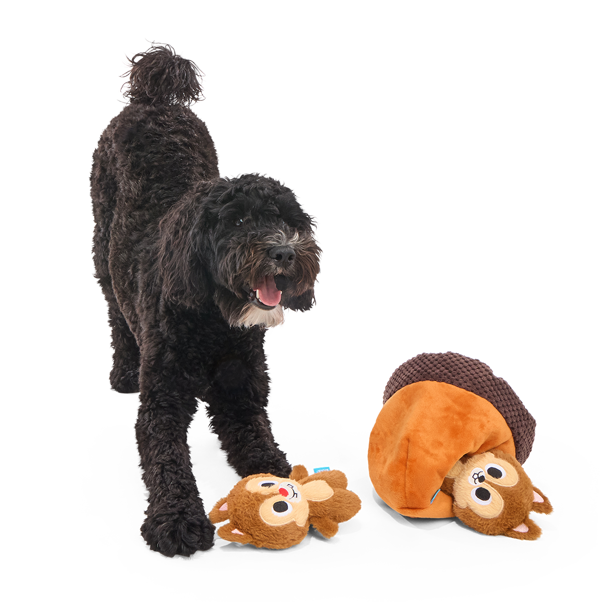 Chip 'N Dale in a Nutshell Plush Multi-Part + Enrichment Dog Toy - Image 2