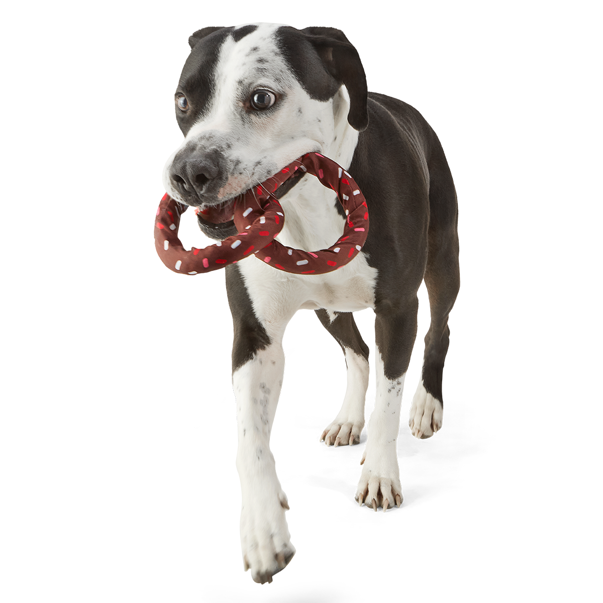 Chocolick Pretzel Plush Extra-Large + Tug Dog Toy - Image 4