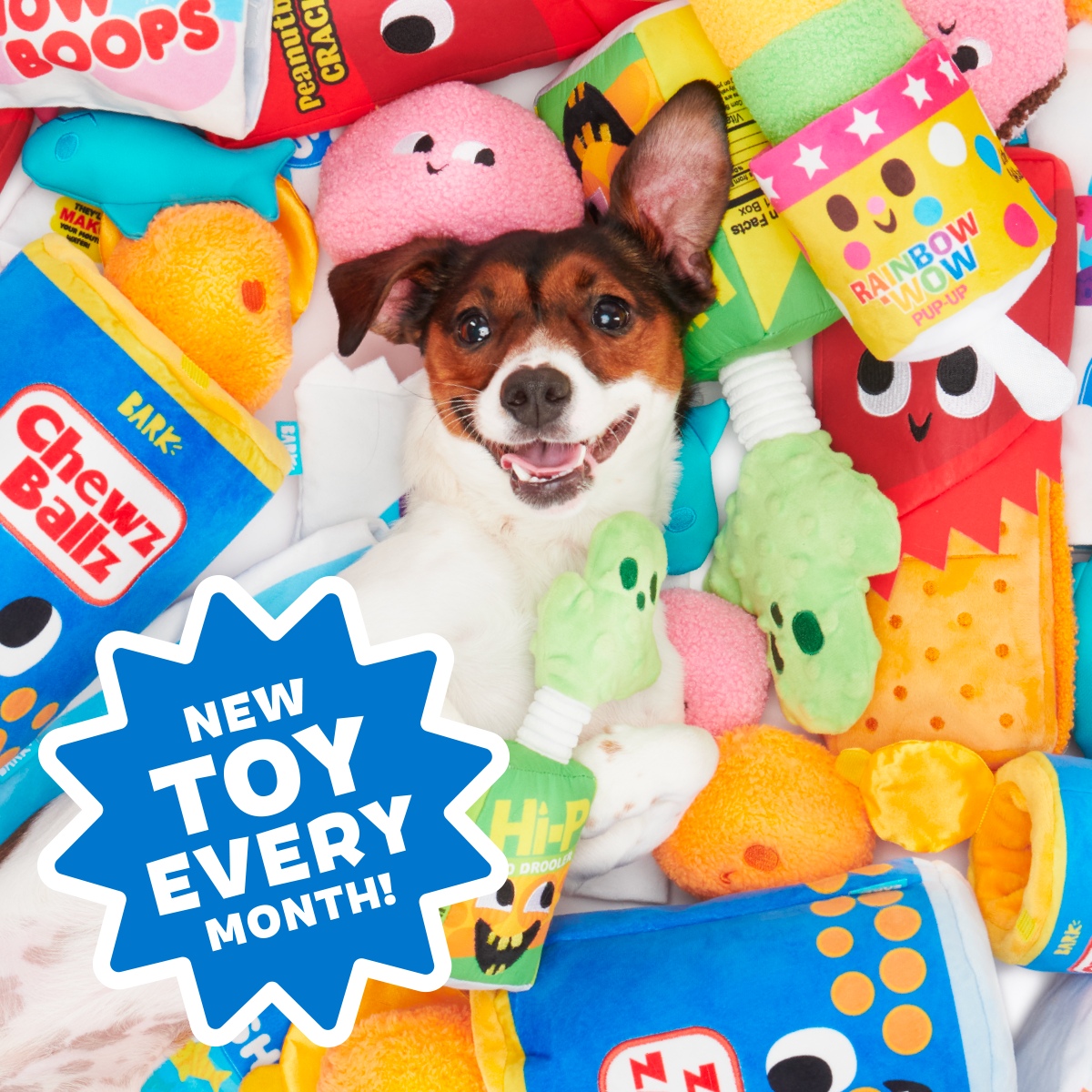 Junk Food Club. Plush Monthly Dog Toys - Image 7