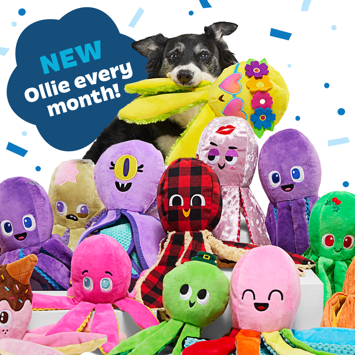 Ollie the Octopus Club. Plush Tug Monthly Dog Toys - Image 6