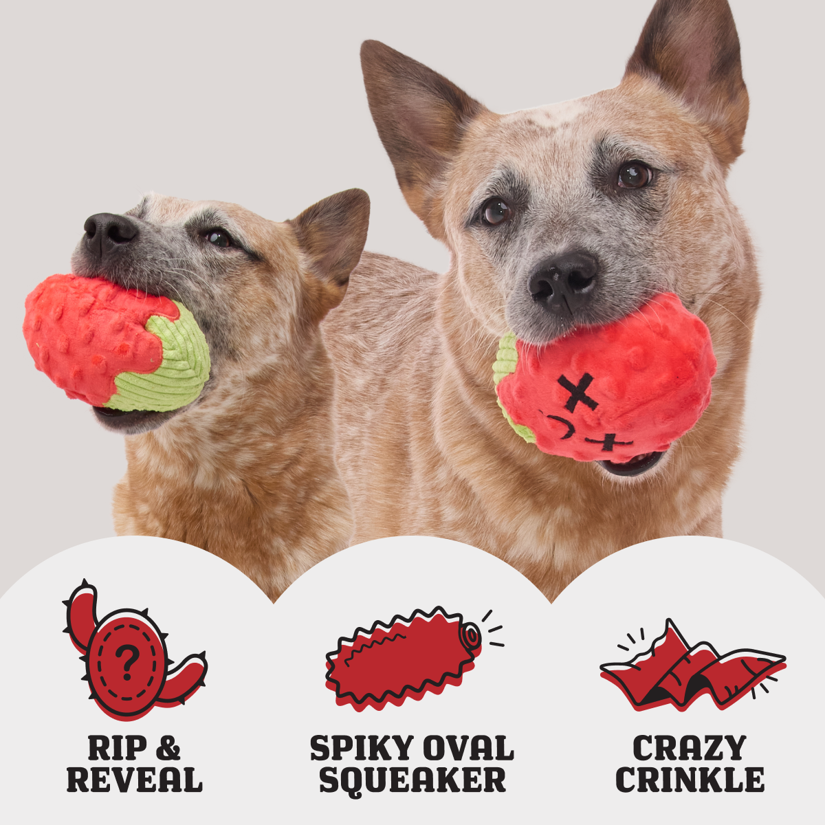 Consuela the Cactus Club. Plush 2-in-1 Monthly Dog Toys - Image 3