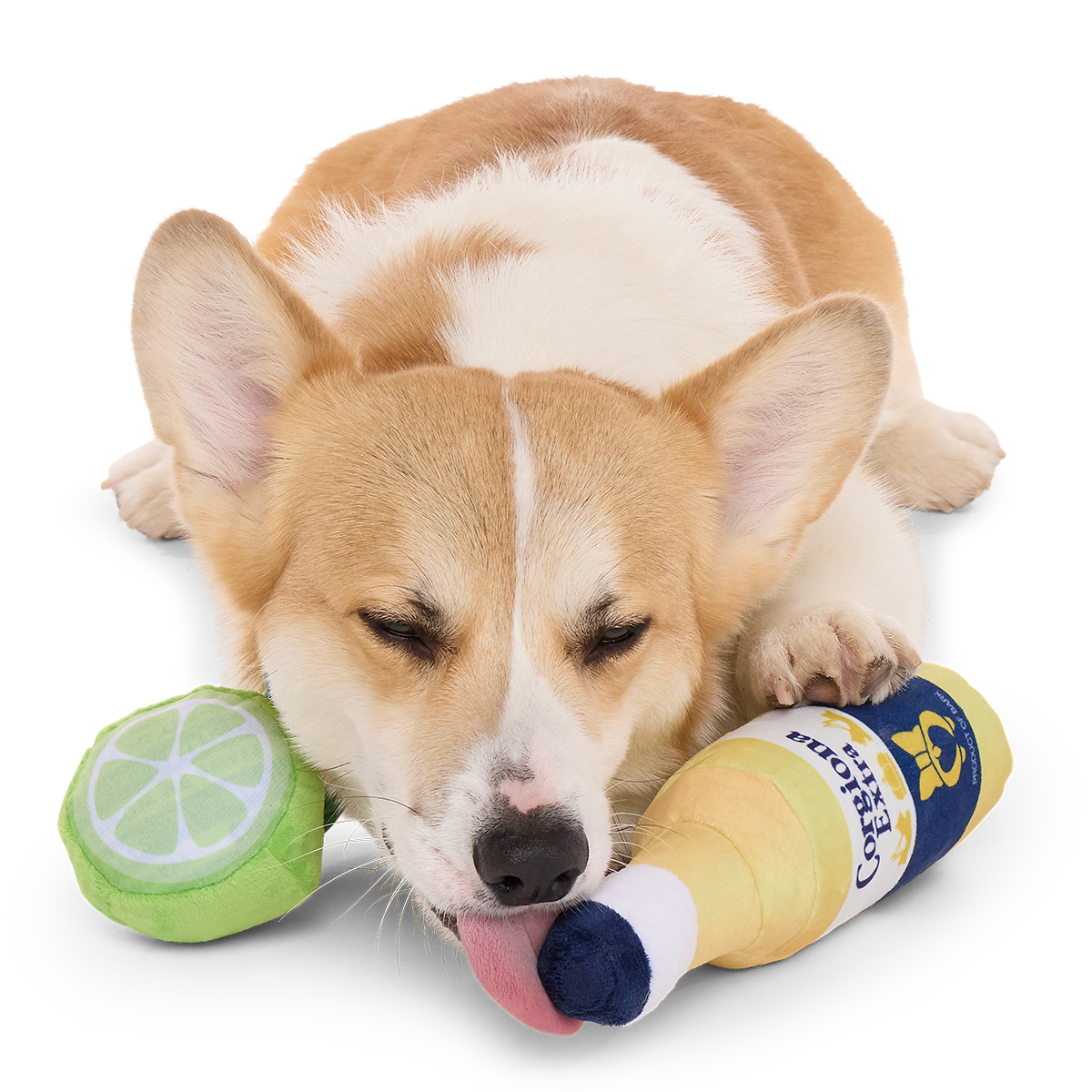 Corgiona With Lime Plush Multi-Part Dog Toy - Image 5