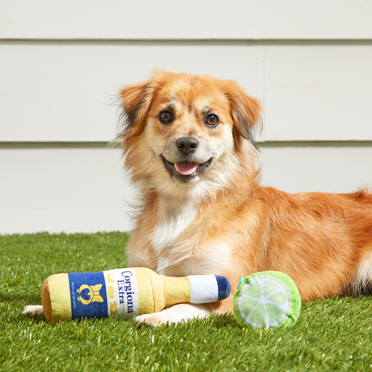 Corgiona With Lime Plush Multi-Part Dog Toy - Image 4