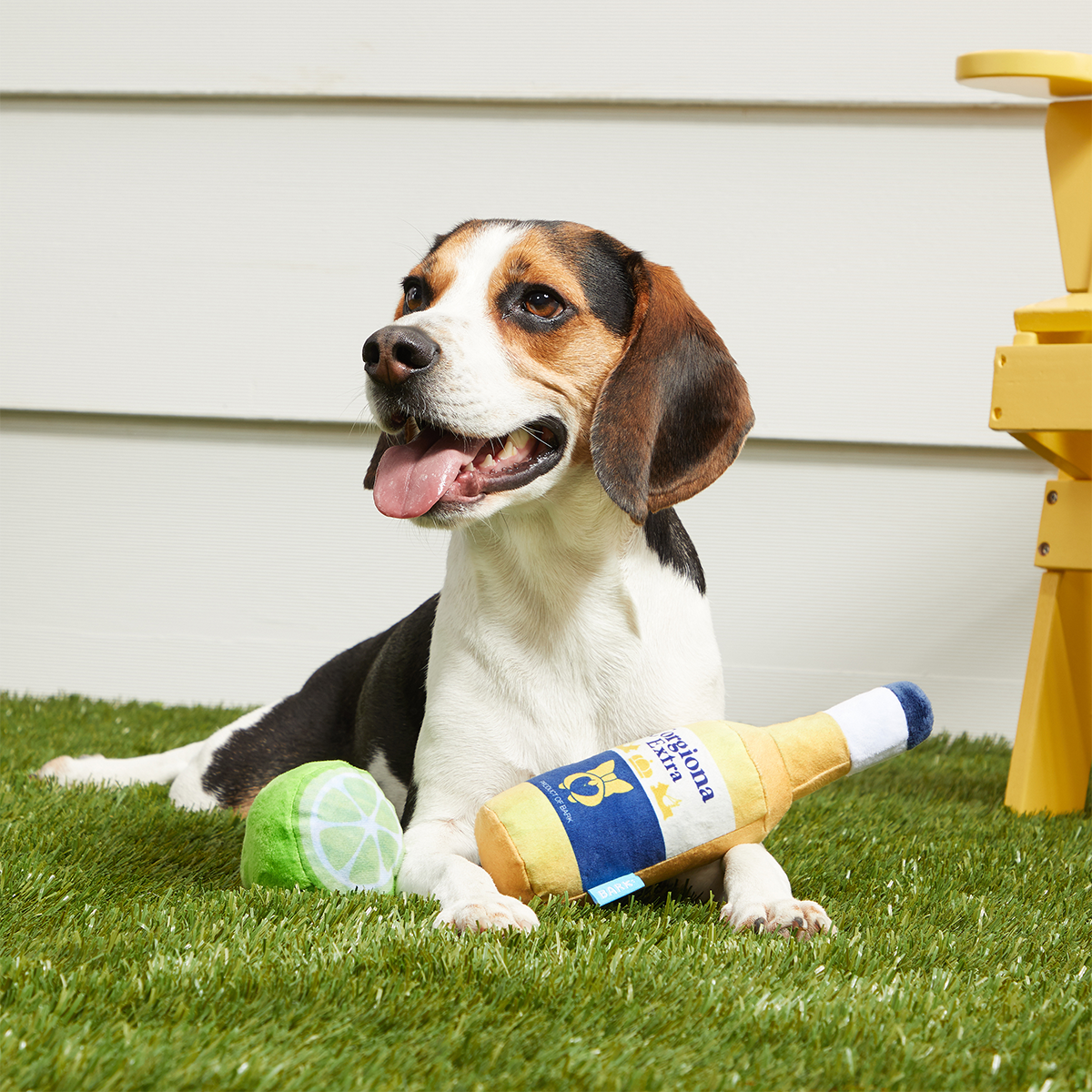 Corgiona With Lime Plush Multi-Part Dog Toy - Image 3