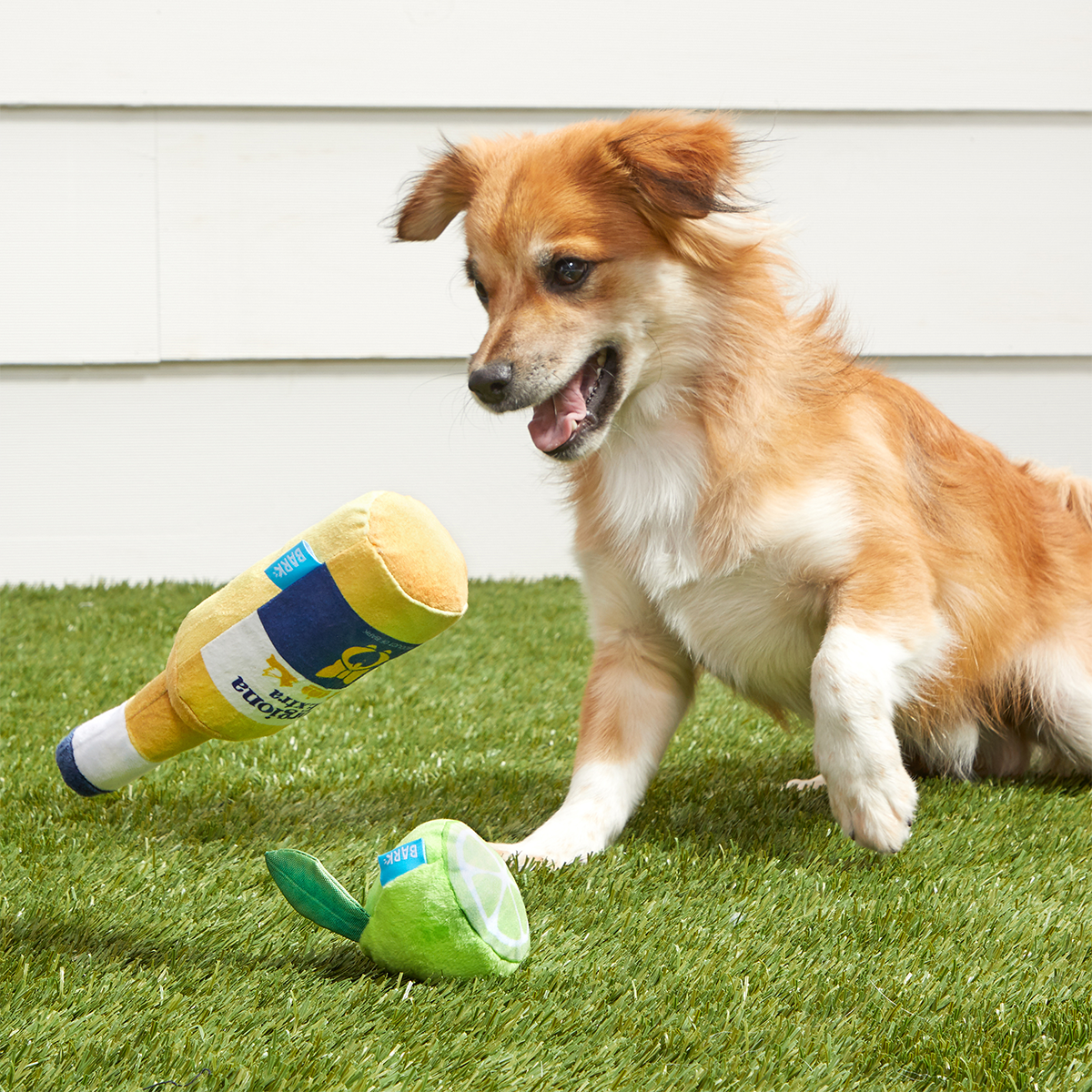 Corgiona With Lime Plush Multi-Part Dog Toy - Image 2