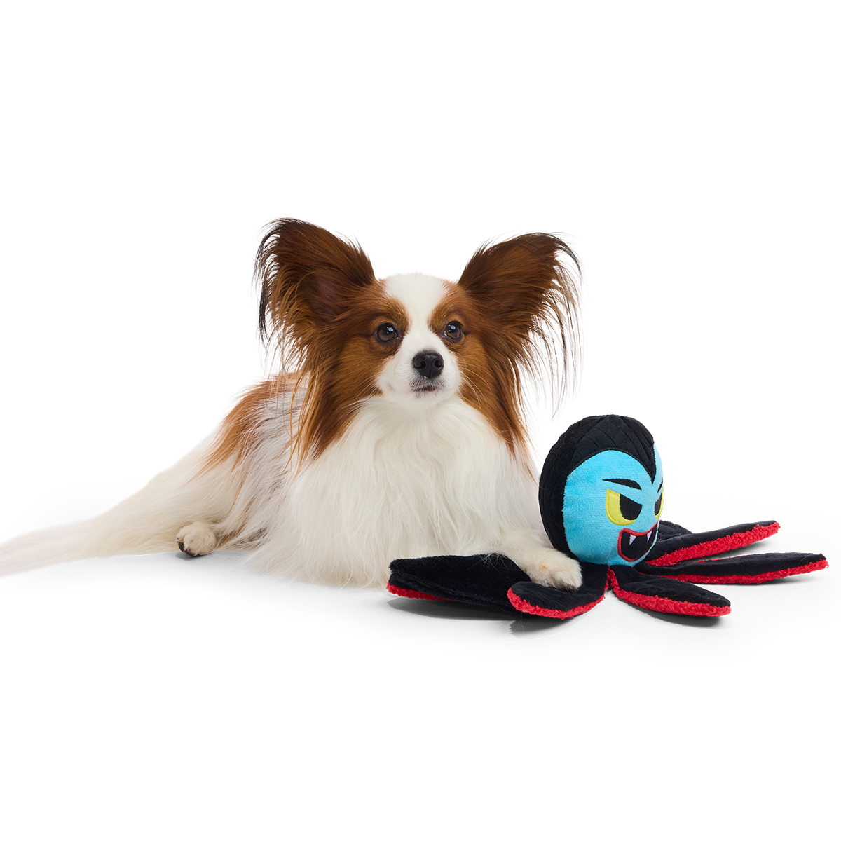 Ollie the Octopus Club. Plush Tug Monthly Dog Toys - Image 3