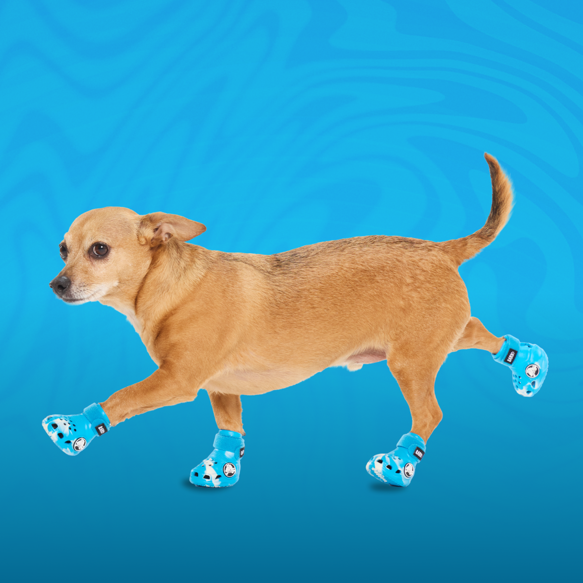 Crocs™ Shoes For Dogs - Image 13