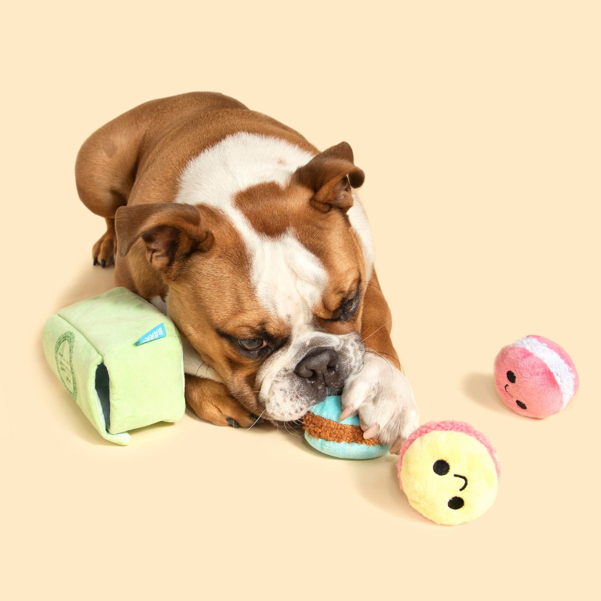 Wee Wee Macaroon Plush Multi-Part + Enrichment Dog Toy - Image 5