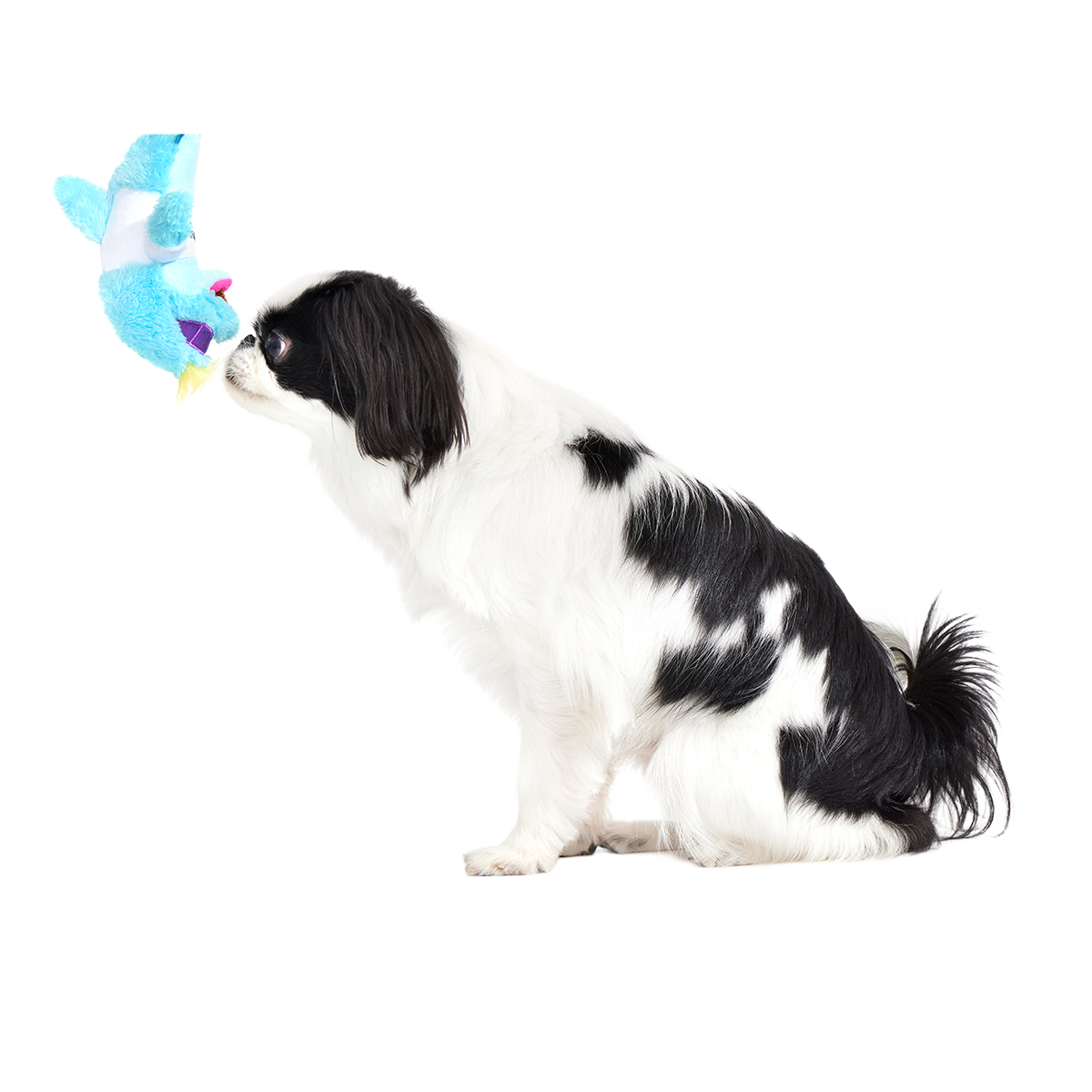 Daddy Dolphin Plush Tug Dog Toy - Image 6