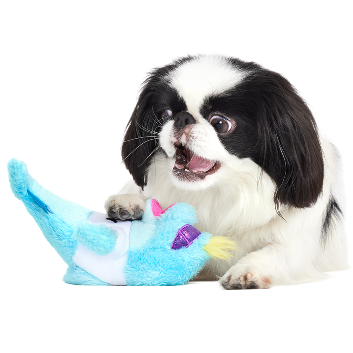 Daddy Dolphin Plush Tug Dog Toy - Image 5