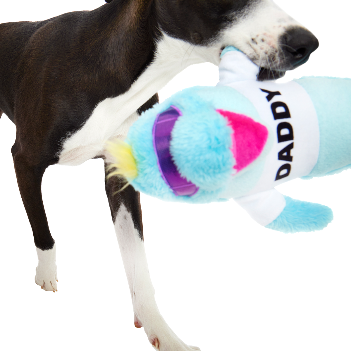 Daddy Dolphin Plush Tug Dog Toy - Image 3