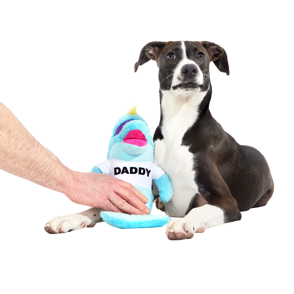 Daddy Dolphin Plush Tug Dog Toy - Image 2