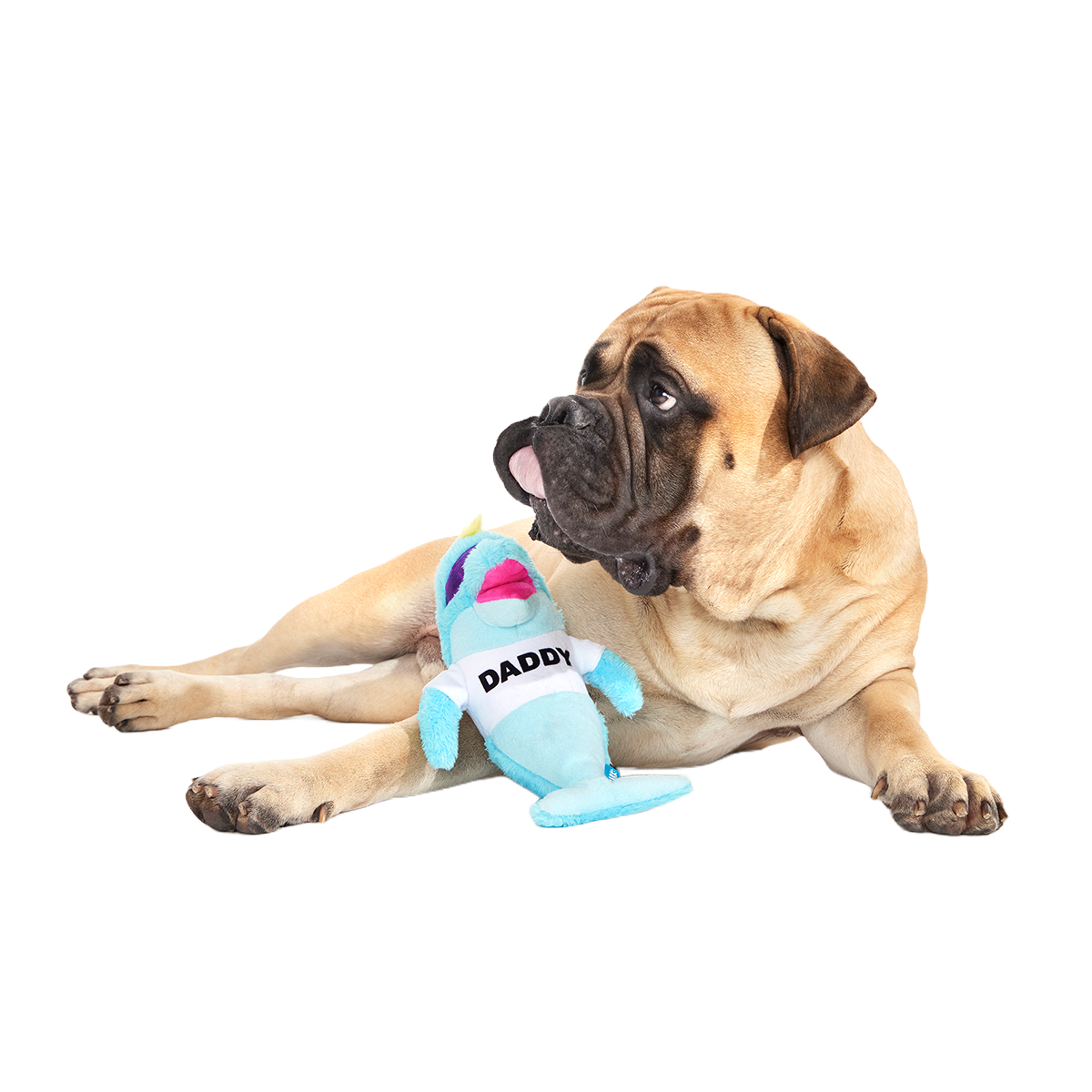 Daddy Dolphin Plush Tug Dog Toy - Image 4