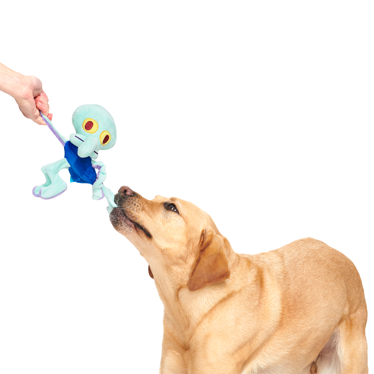 Dancing Squidward Plush Tug Dog Toy - Image 5