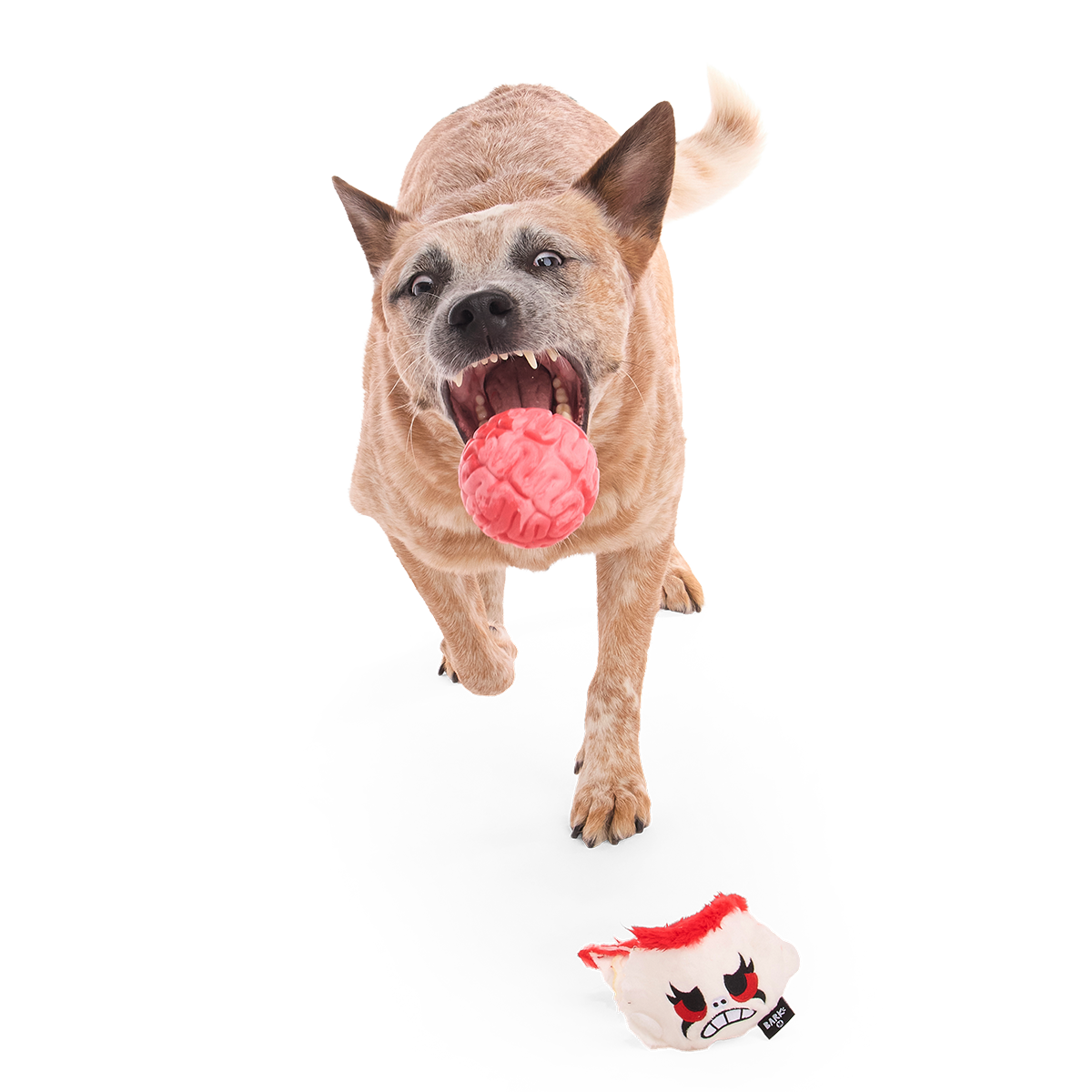 Dead Head Super Chewer Durable 2-in-1 + Fetch Dog Toy - Image 3