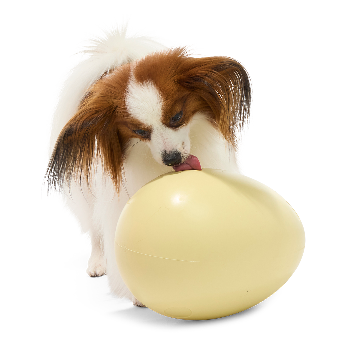 Dinosaur Egg Super Chewer Durable Extra-Large + Fetch Dog Toy - Image 6