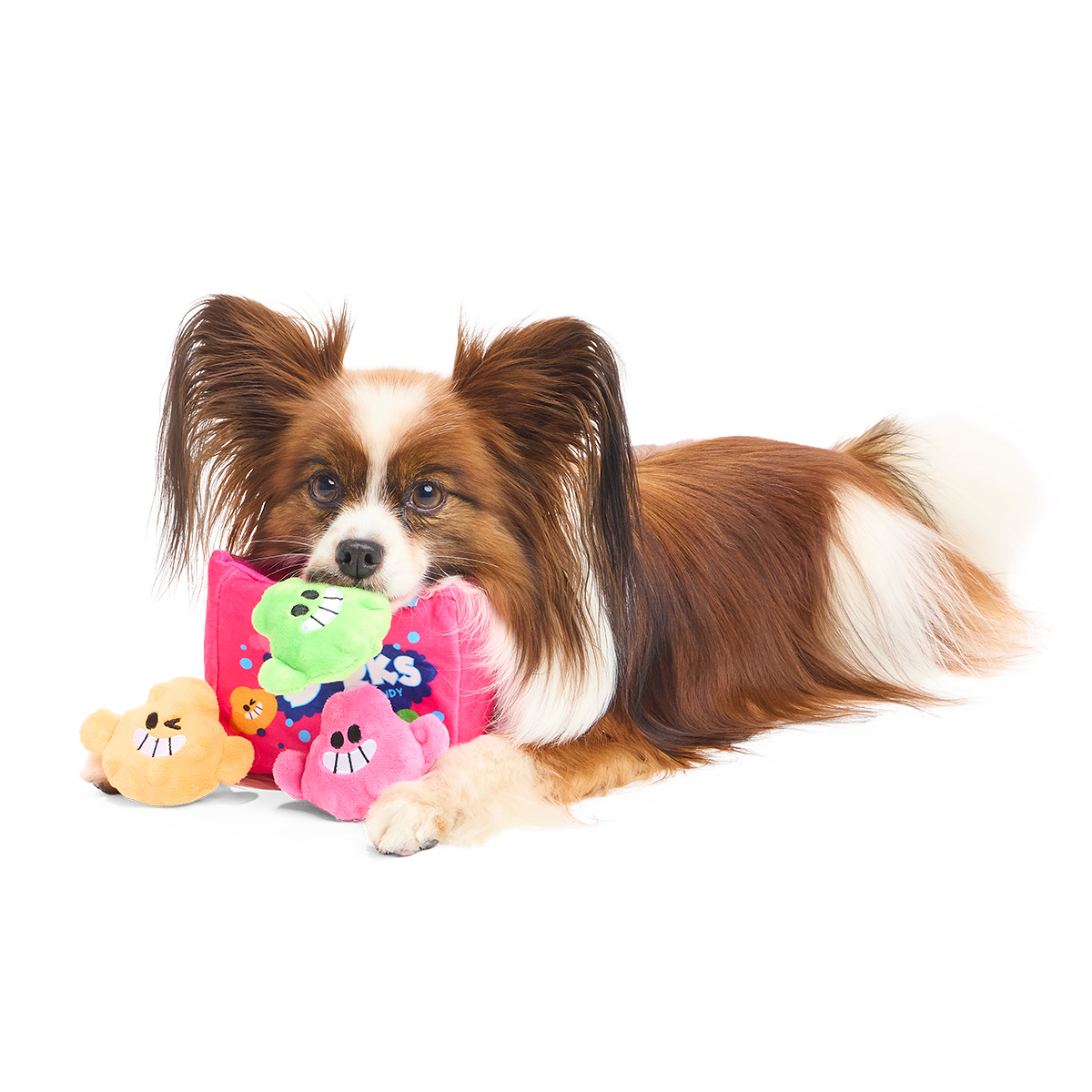 Dorks Plush Multi-Part + Enrichment Dog Toy - Image 3