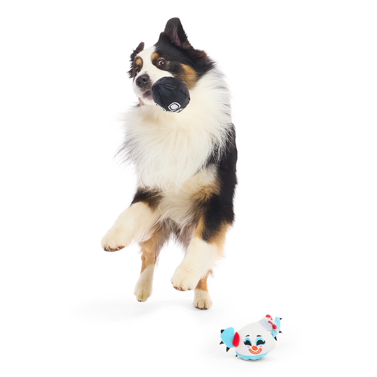 Down to Clown Consuela Plush 2-in-1 + Tug Dog Toy - Image 4
