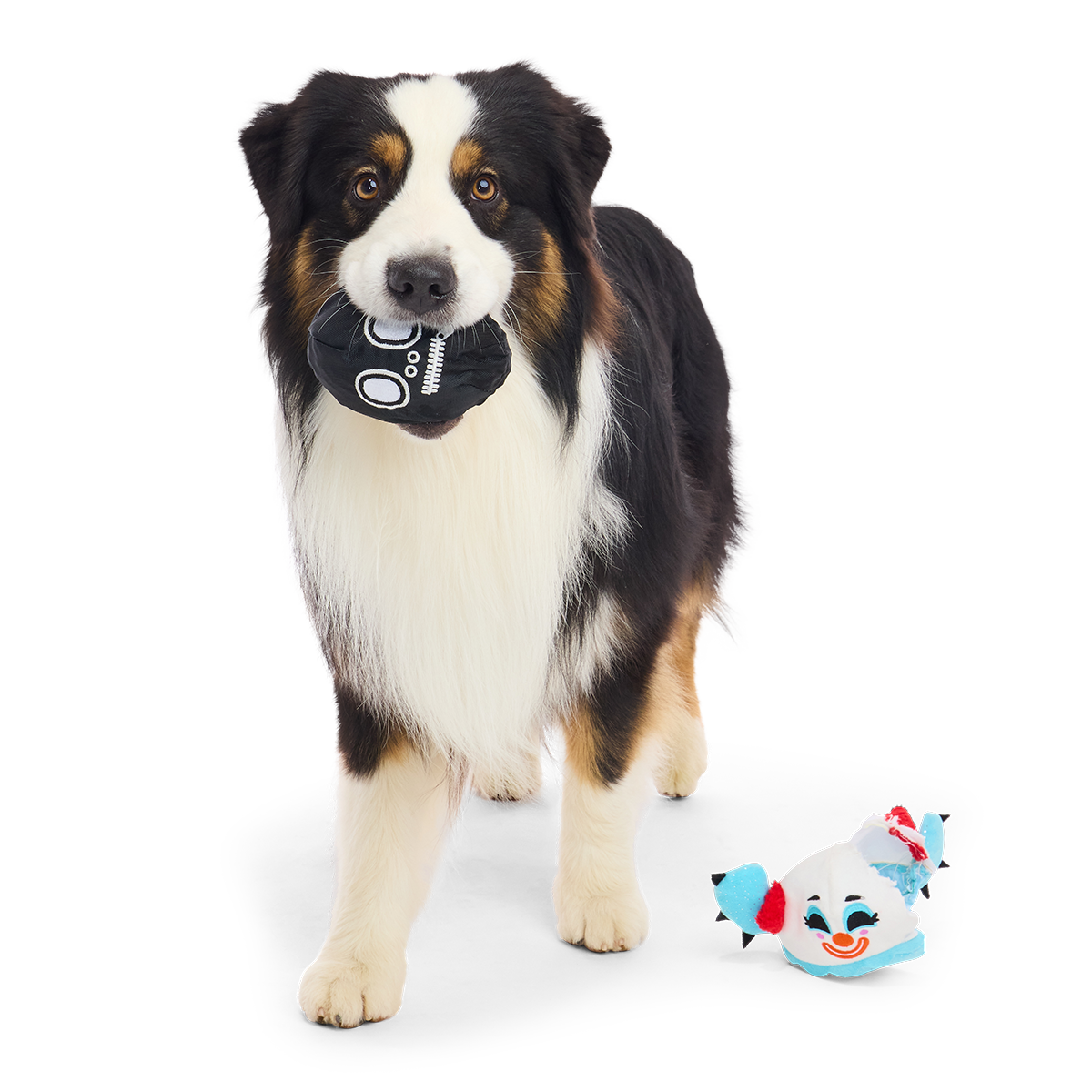 Down to Clown Consuela Plush 2-in-1 + Tug Dog Toy - Image 5