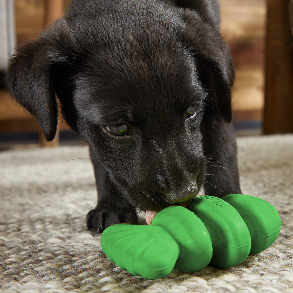 Drop The Bass Super Chewer Durable 2-in-1 + Enrichment Dog Toy - Image 2