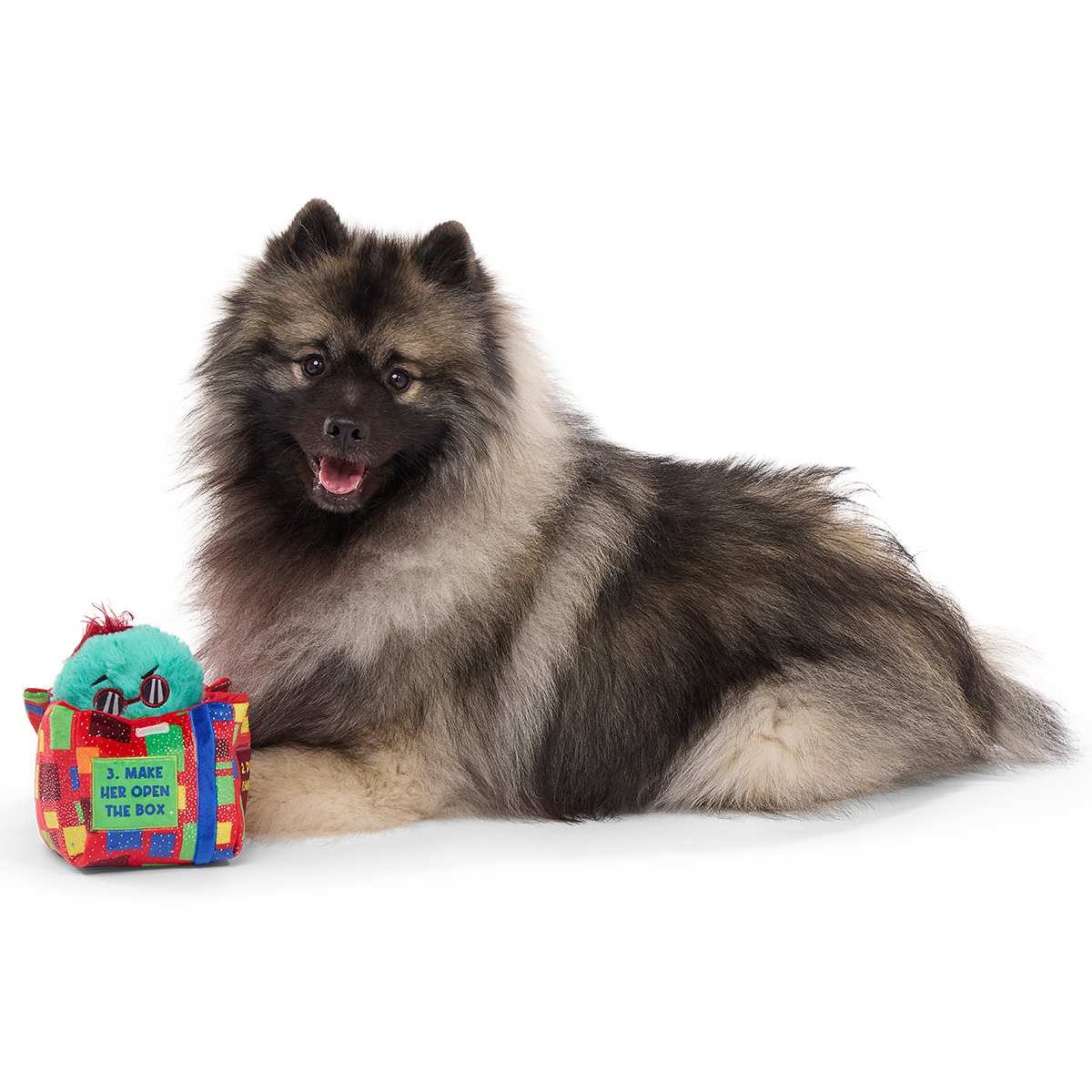 Saturday Night Live: Duck in A Box Plush Multi-Part + Enrichment Dog Toy - Image 3