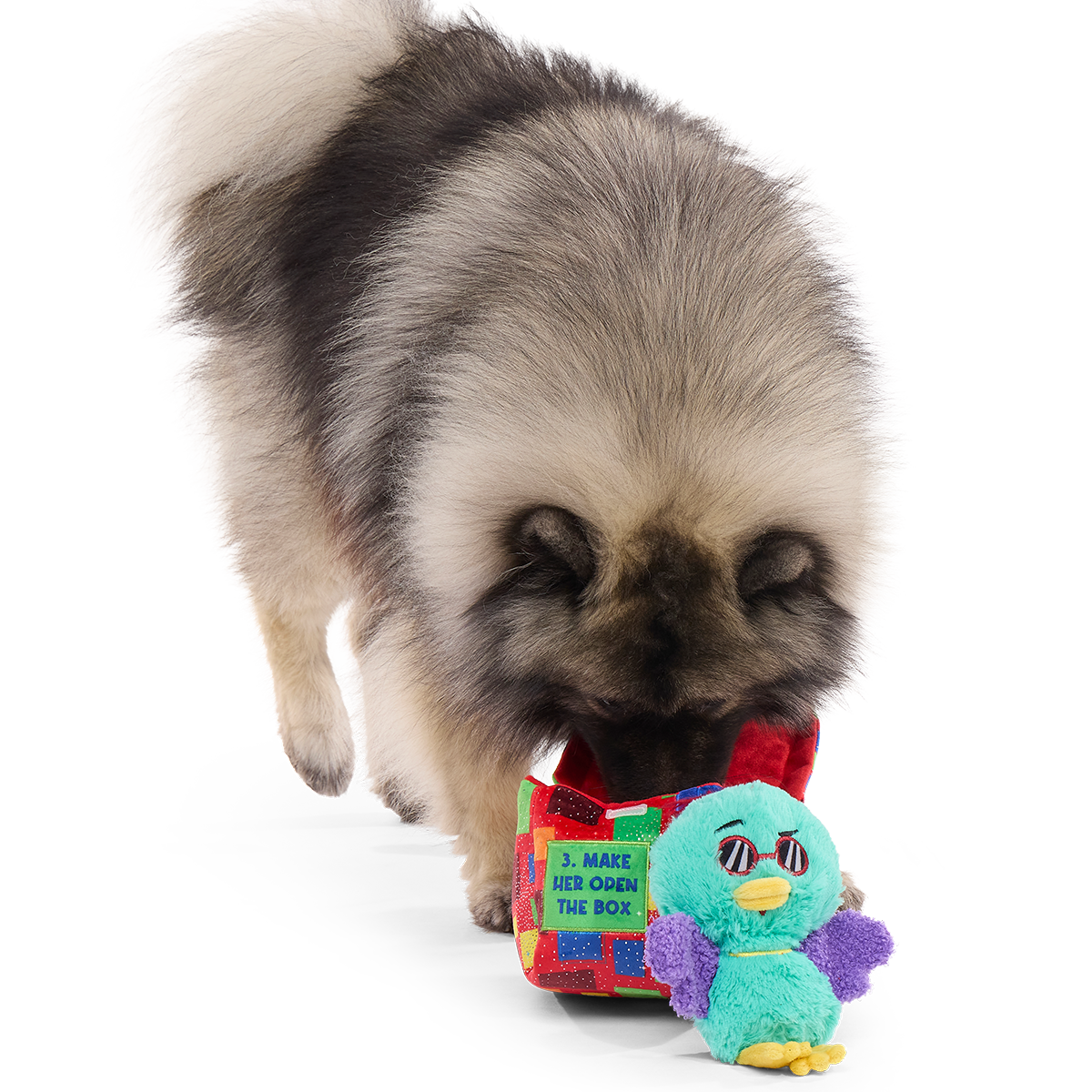 Saturday Night Live: Duck in A Box Plush Multi-Part + Enrichment Dog Toy - Image 5