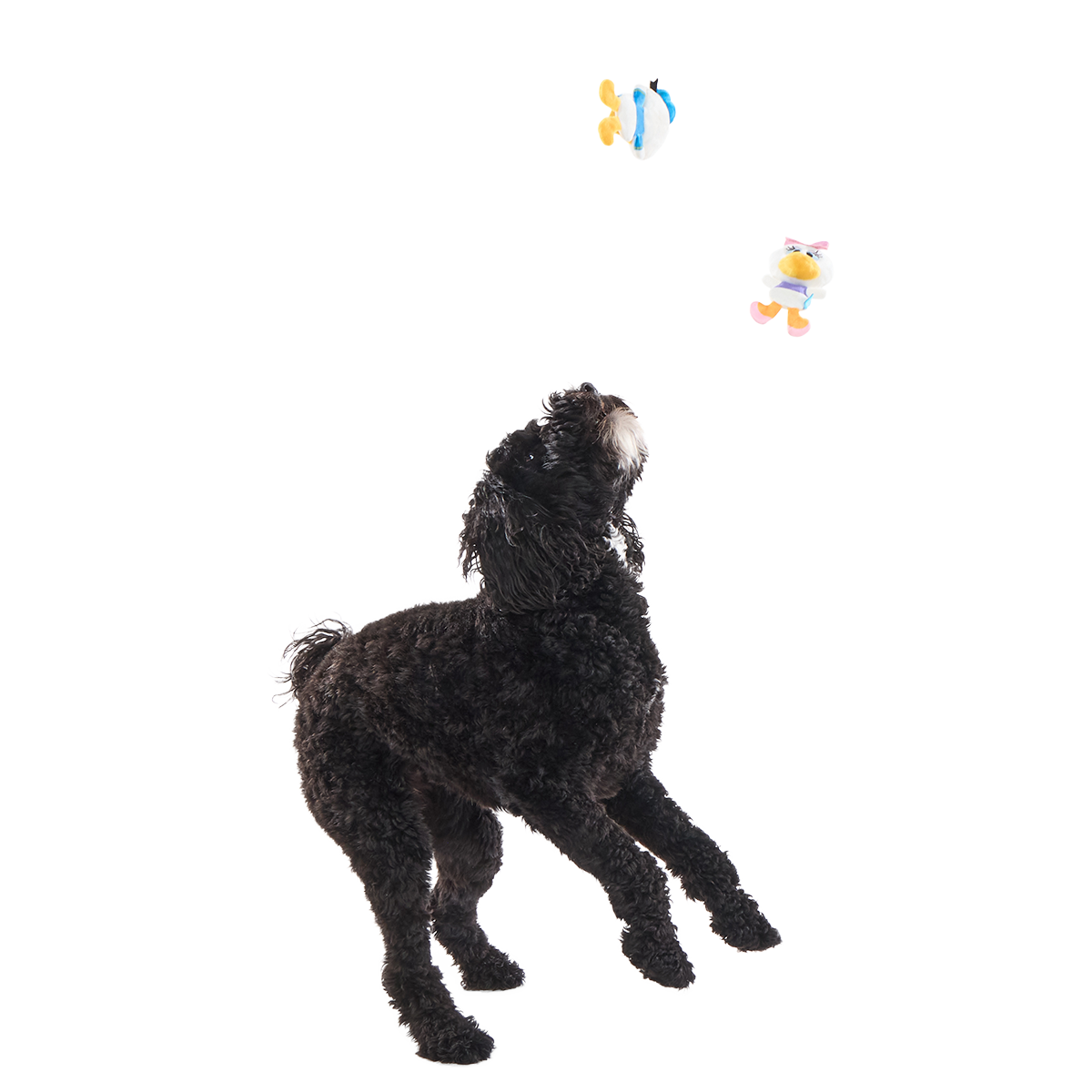 Ducks of a Feather Plush Multi-Part Dog Toy - Image 4