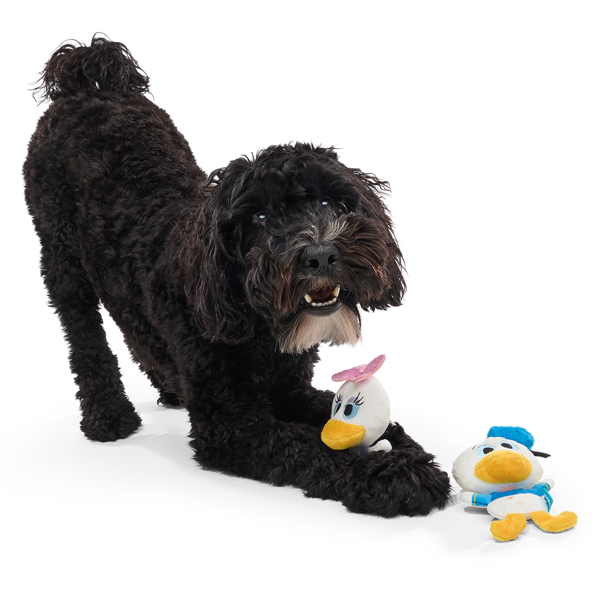 Ducks of a Feather Plush Multi-Part Dog Toy - Image 2