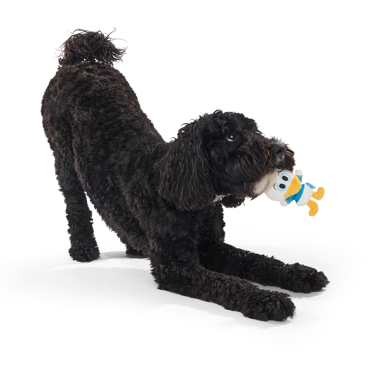 Ducks of a Feather Plush Multi-Part Dog Toy - Image 3