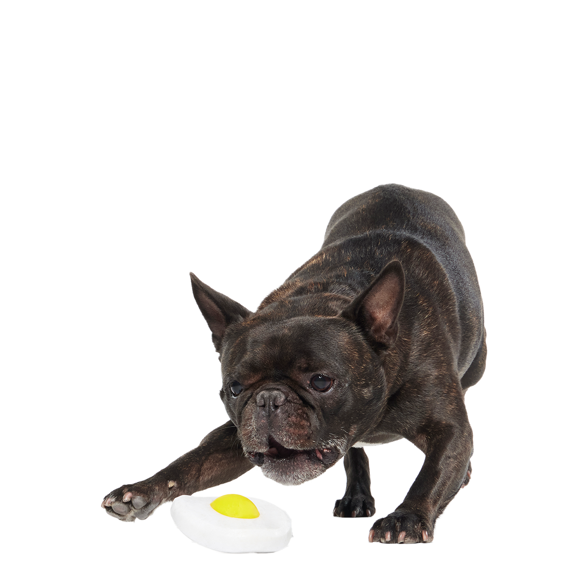 Egg Over Hard Super Chewer Durable Gnaw Dog Toy - Image 6