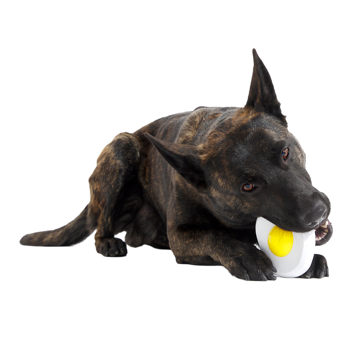 Egg Over Hard Super Chewer Durable Gnaw Dog Toy - Image 2