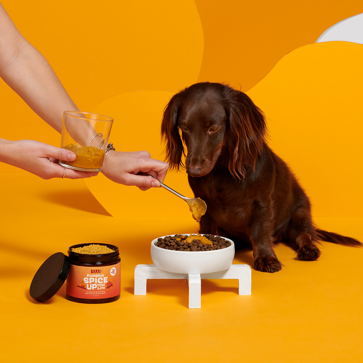 Pumpkin Spice. And Everything Nice Vegetarian Dog Food Meal Topper. 6.1 oz - Image 4
