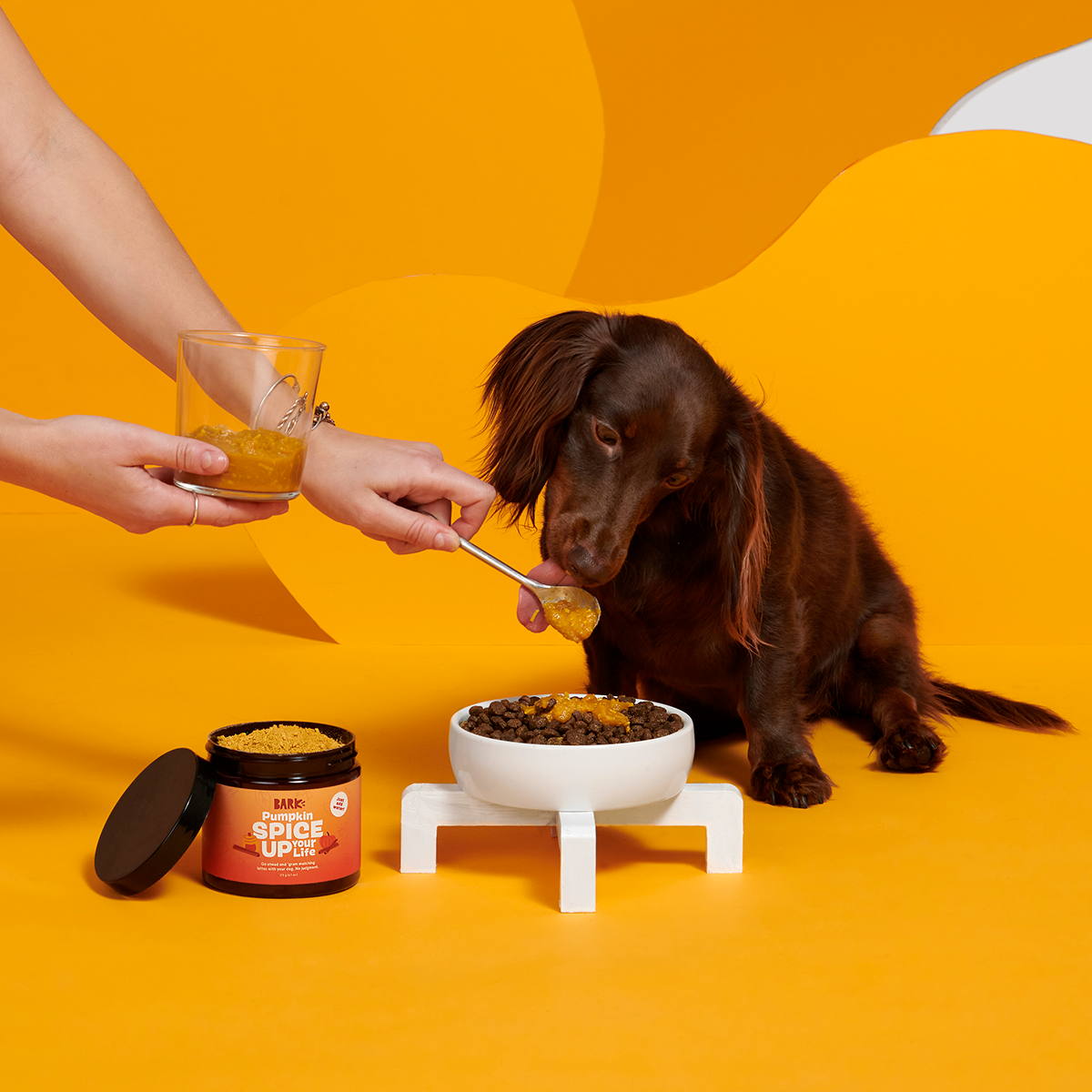 Pumpkin Spice. And Everything Nice Vegetarian Dog Food Meal Topper. 6.1 oz - Image 5