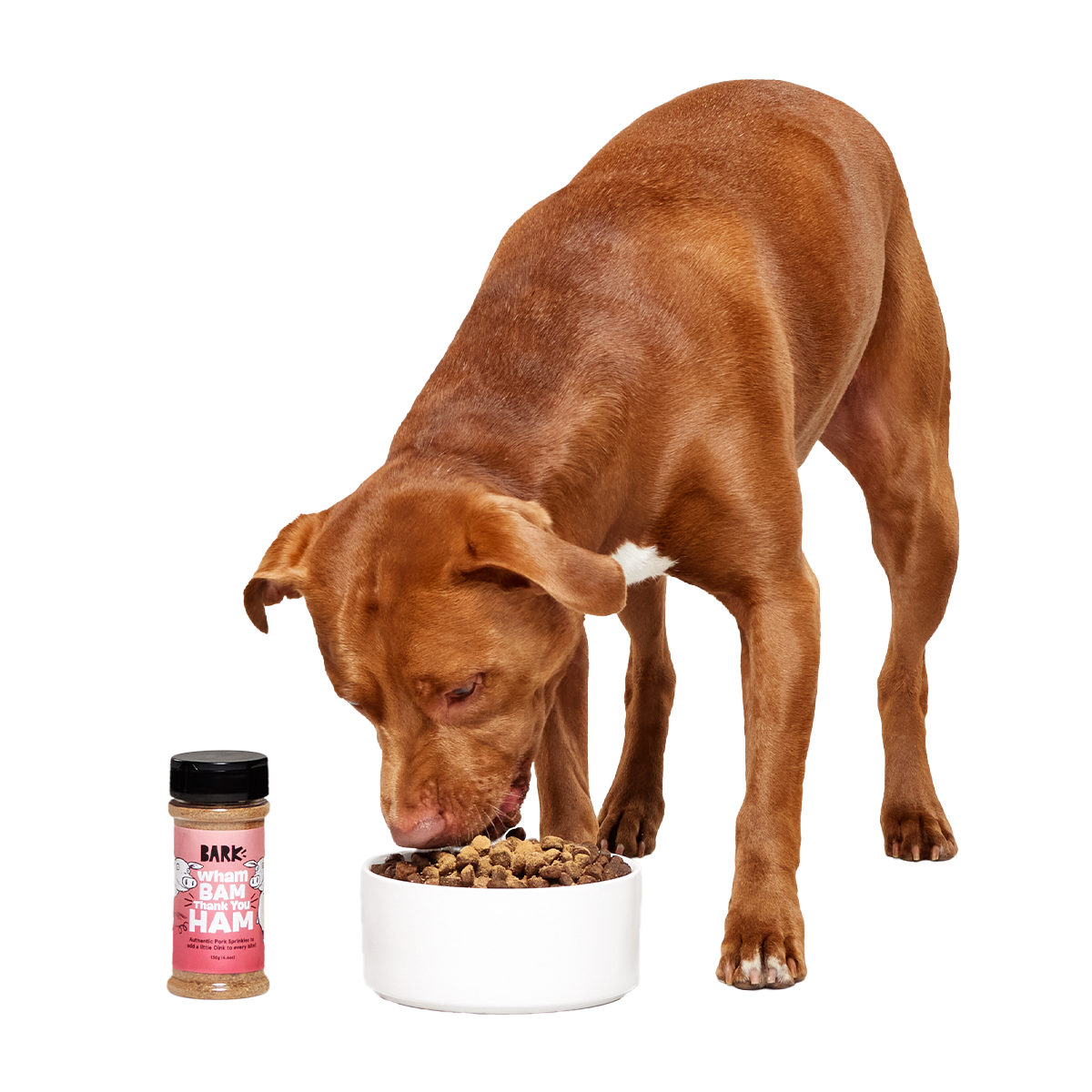 Wham Bam Thank You Ham Pork Dog Food Meal Topper. 4.6 oz - Image 4