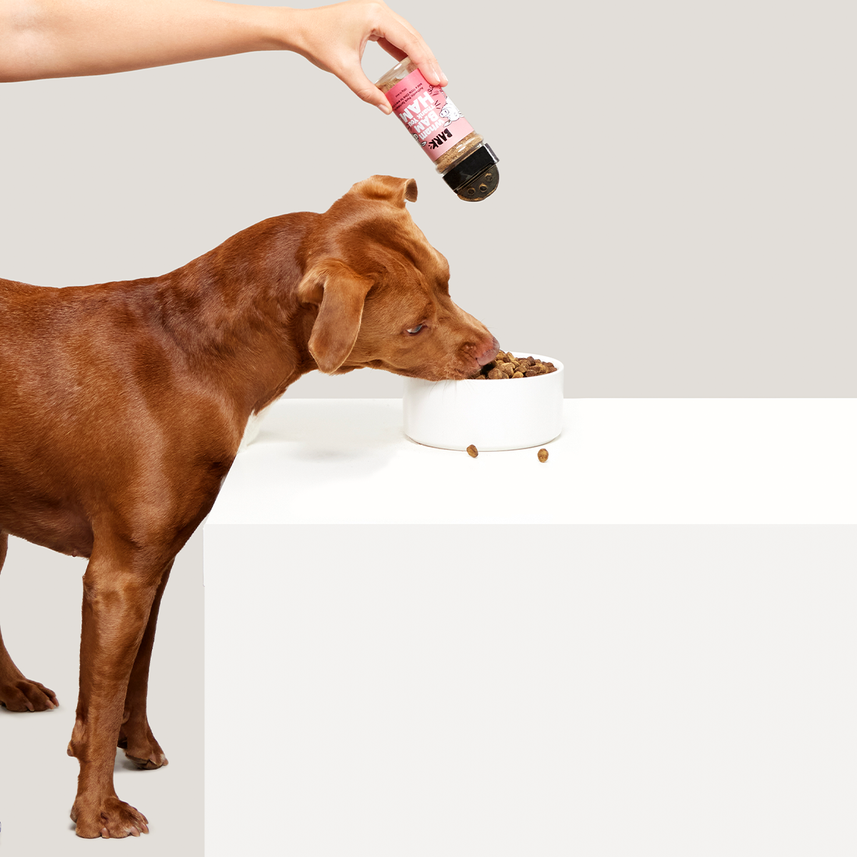 Wham Bam Thank You Ham Pork Dog Food Meal Topper. 4.6 oz - Image 7