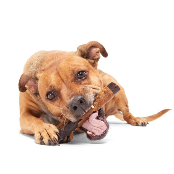 Beefy Chewin' Collagen Chew & Bully Stick - Image 2
