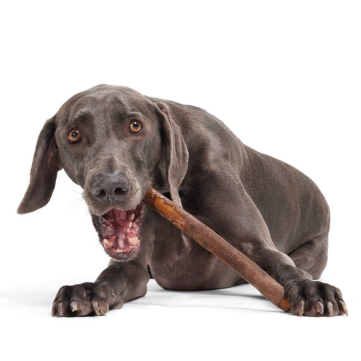 Beefy Chewin' Collagen Chew & Bully Stick - Image 3