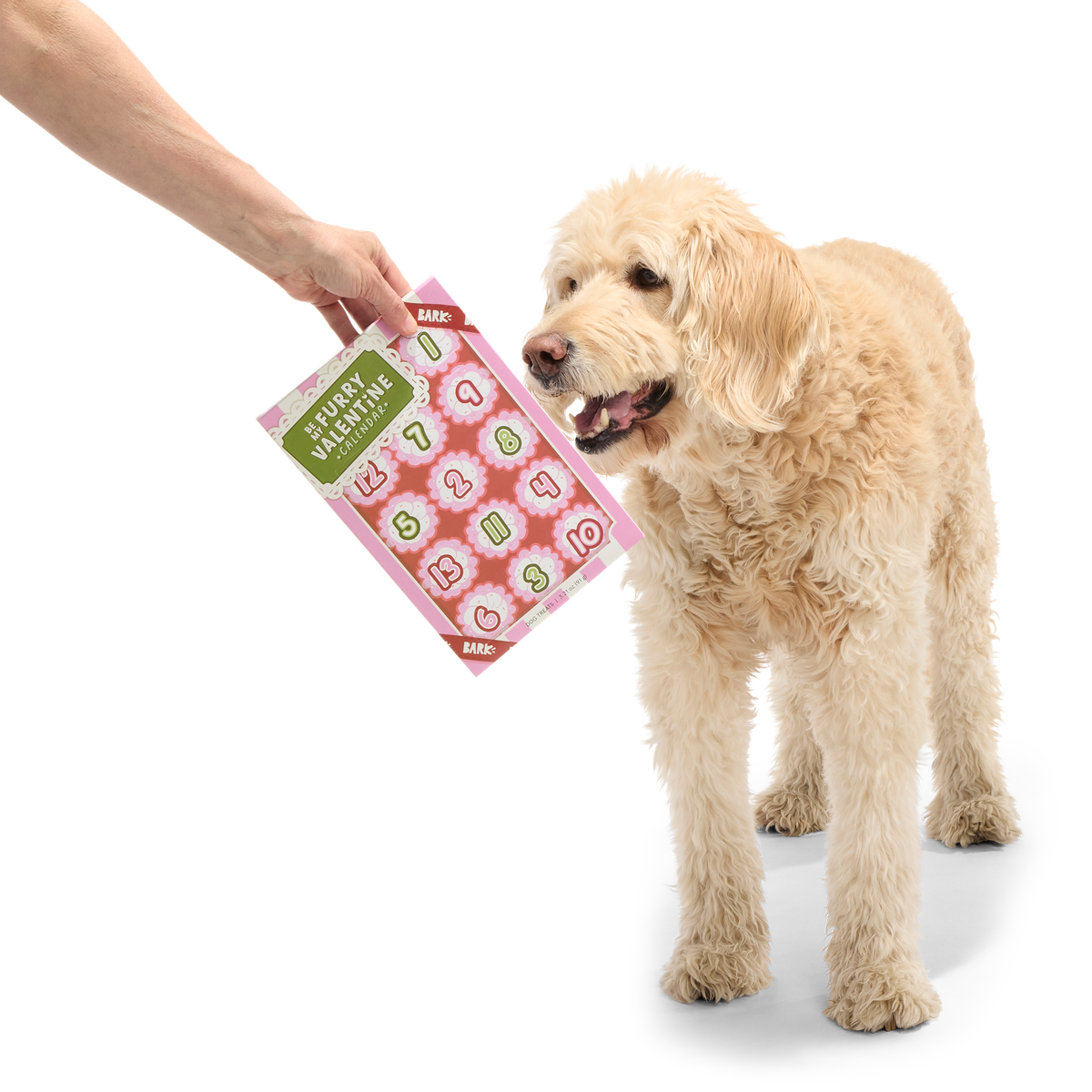 Be My Furry Valentine Treat Calendar Vegetarian Hard & Crunchy Dog Treats - Image 5