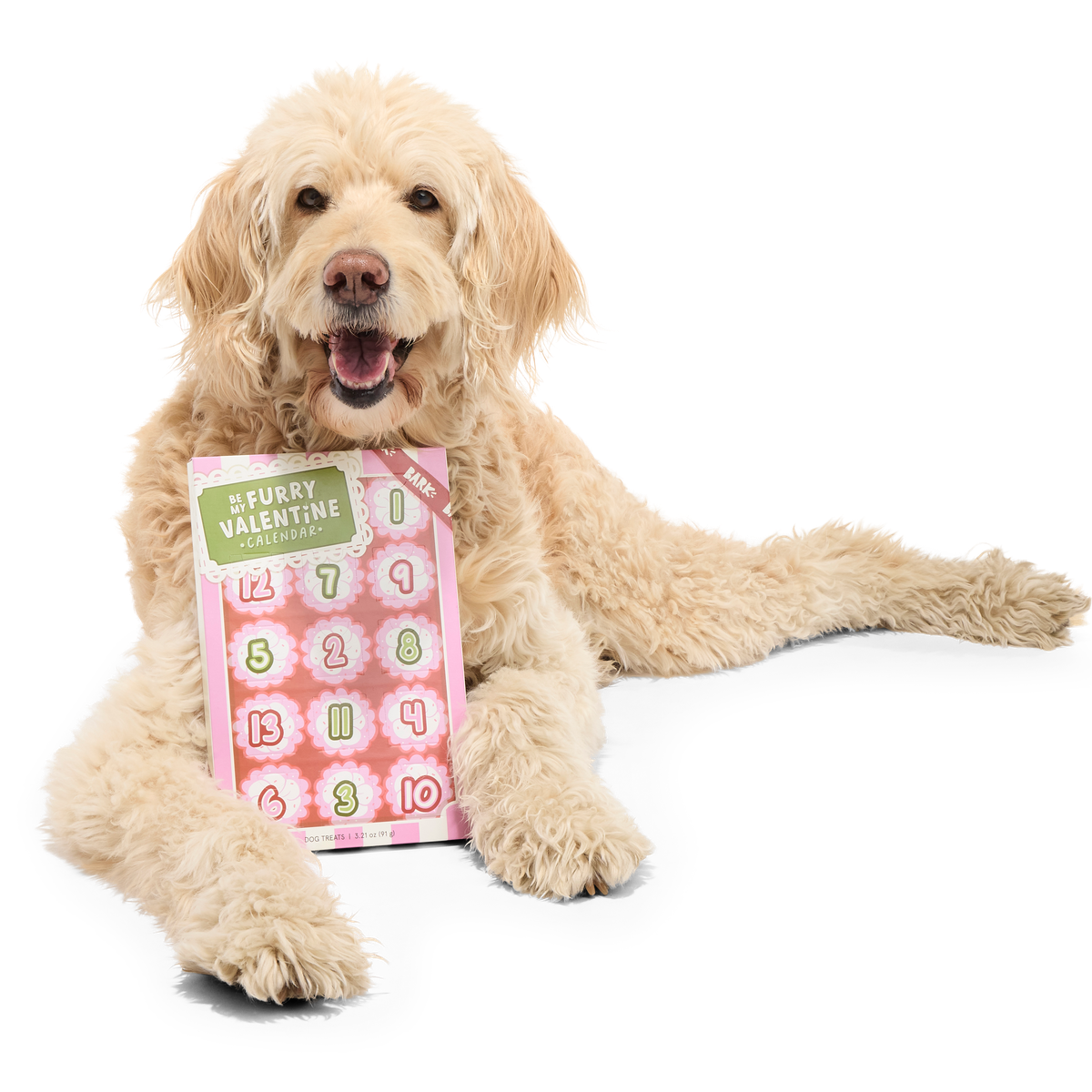 Be My Furry Valentine Treat Calendar Vegetarian Hard & Crunchy Dog Treats - Image 2