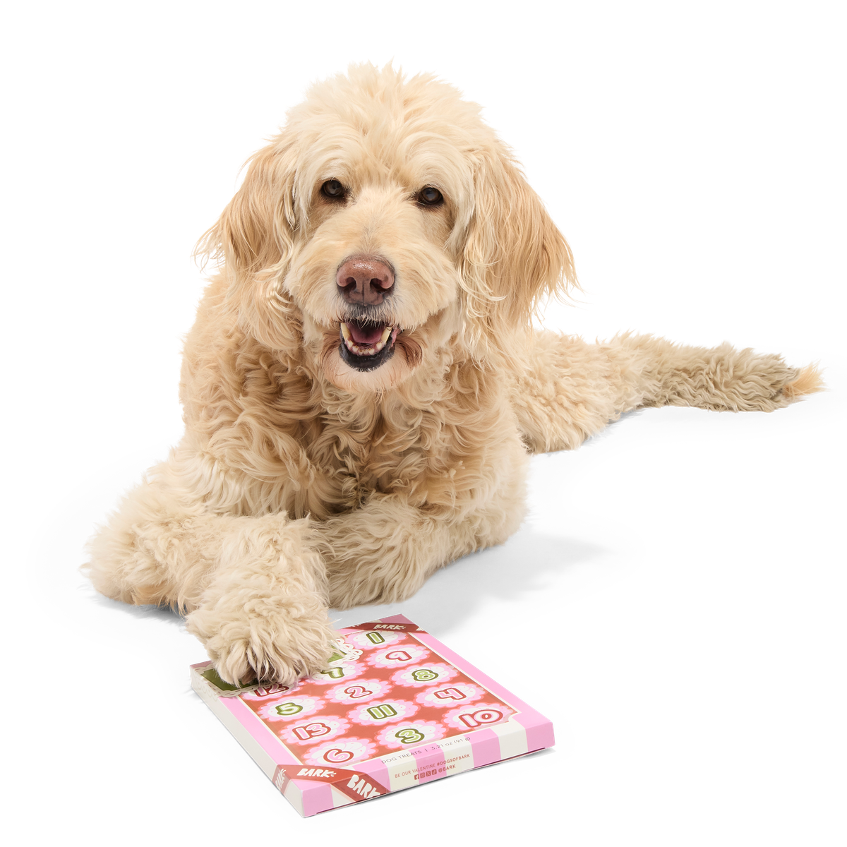 Be My Furry Valentine Treat Calendar Vegetarian Hard & Crunchy Dog Treats - Image 4