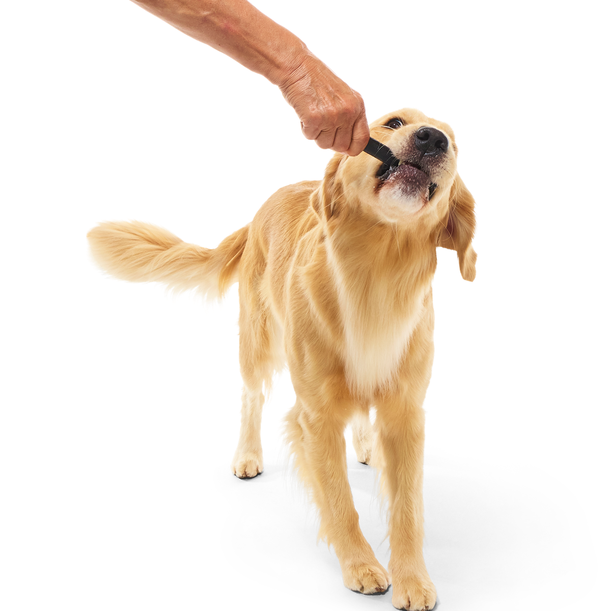 Beef Collagen Dog Chews. 5 Ct - Image 3