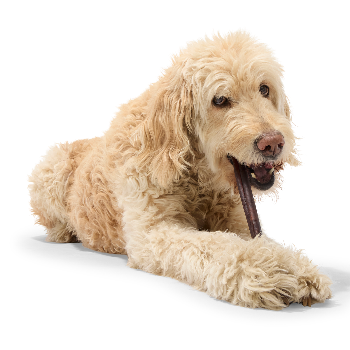 Beef Collagen Dog Chews. 5 Ct - Image 11