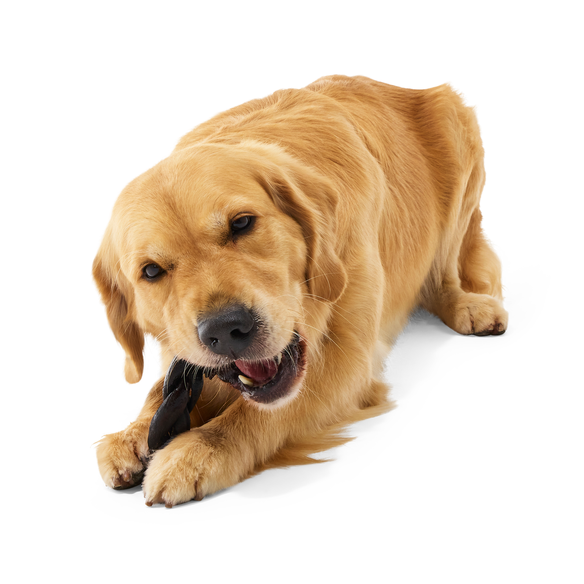Beef Braided Collagen Dog Chews. 5 Ct - Image 5
