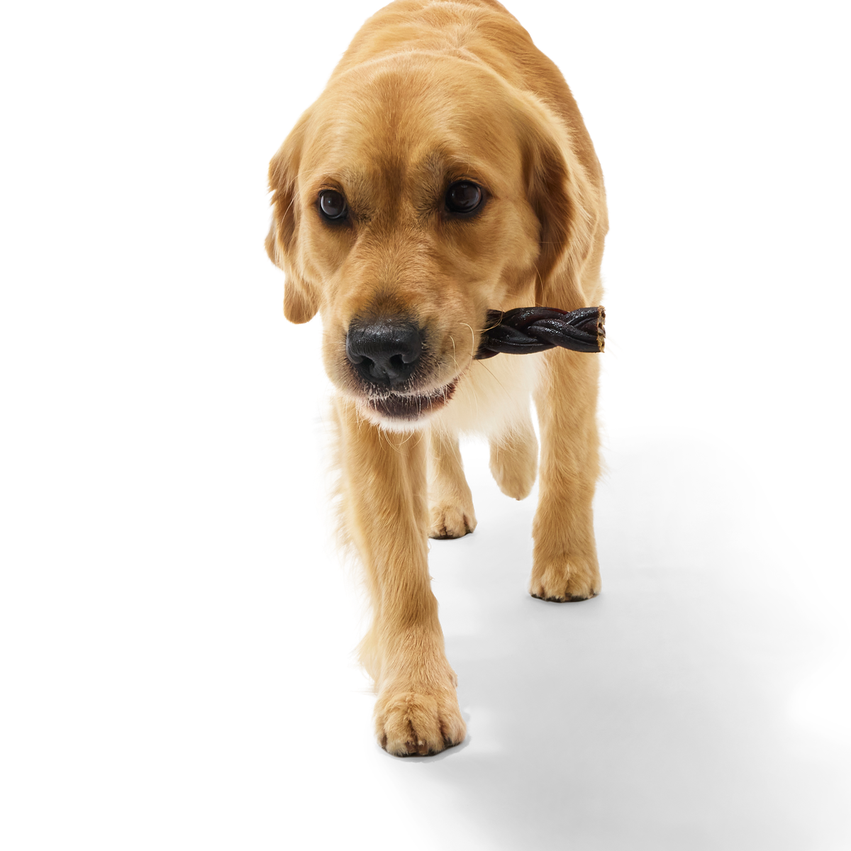 Beef Braided Collagen Dog Chews. 5 Ct - Image 3