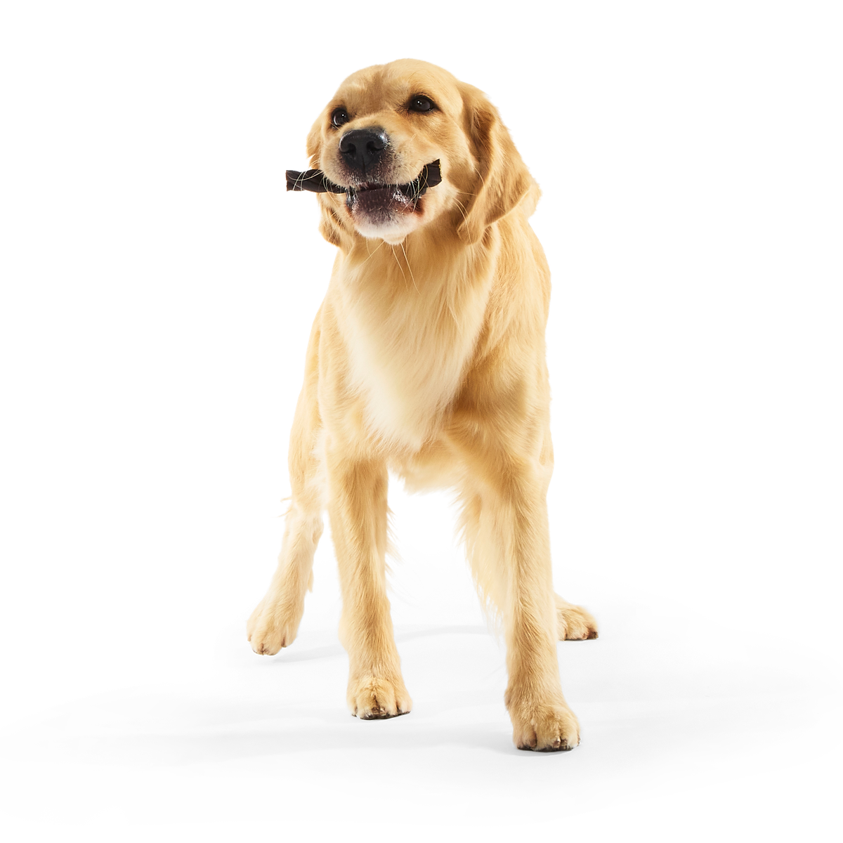 Beef Braided Collagen Dog Chews. 5 Ct - Image 4