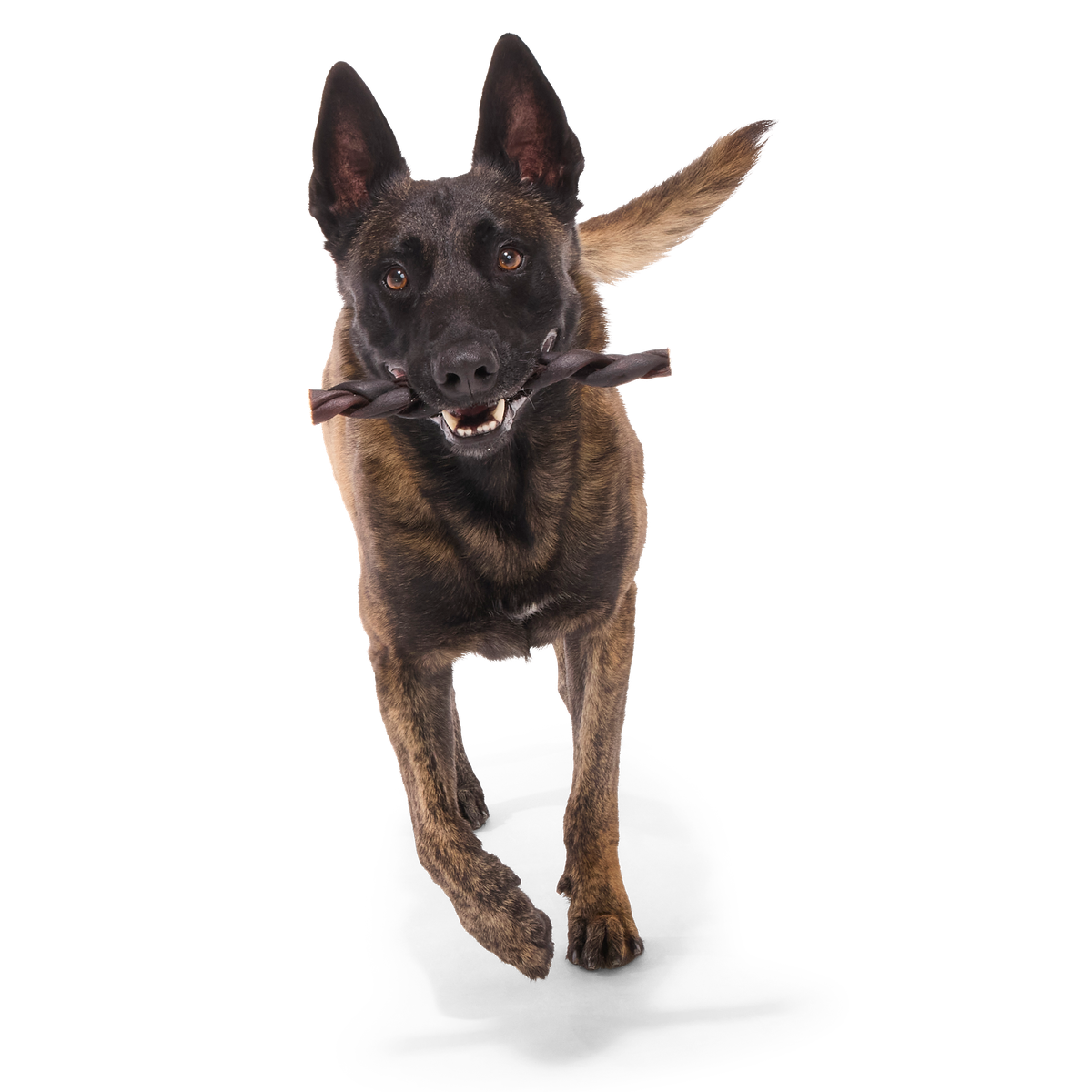Beef Braided Collagen Dog Chews. 5 Ct - Image 11